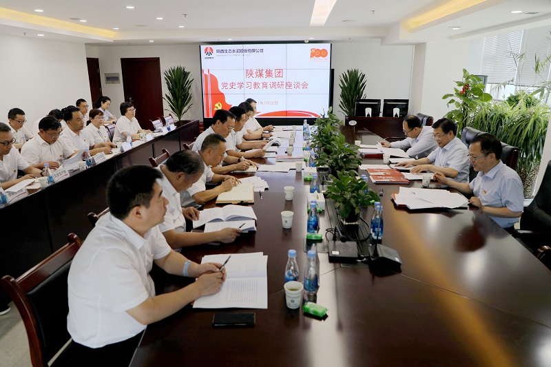 陜煤集團黨委副書(shū)記、董事尤西蒂調研生態(tài)水泥公司黨史學(xué)習教育