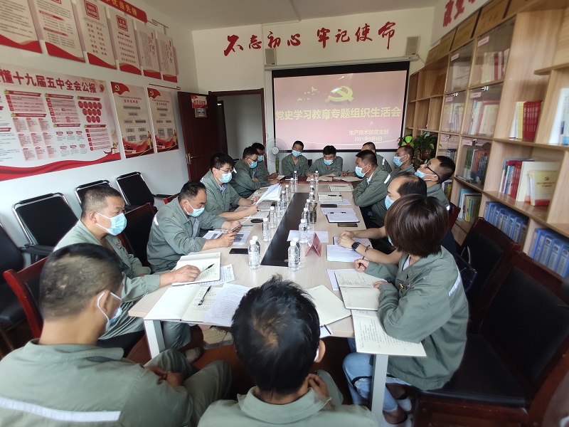 實(shí)、準、狠三字訣 助力黨史學(xué)習教育專(zhuān)題組織生活會(huì )走深走實(shí)