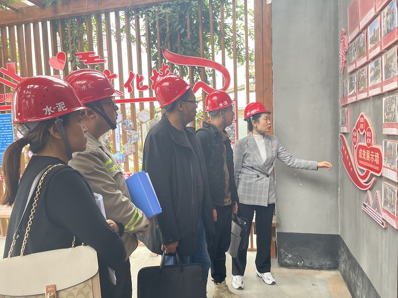 生態(tài)水泥：支部建得好不好 現場(chǎng)“曬”