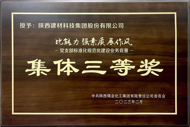 公司榮獲“黨支部標準化規范化建設業(yè)務(wù)競賽”集體三等獎