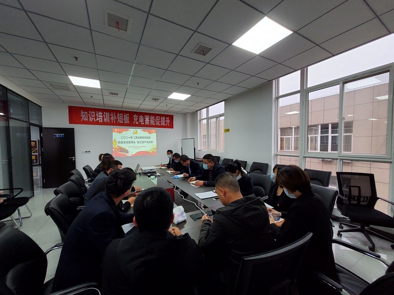 智引公司組織開(kāi)展“我是黨員我帶頭、復工復產(chǎn)當先鋒”主題黨日活動(dòng)
