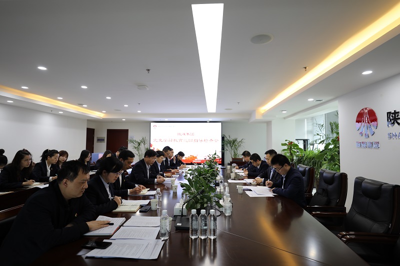 陜煤集團黨史學(xué)習教育第二巡回指導組到生態(tài)水泥公司檢查督導工作