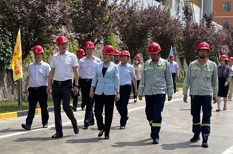 陜西省副省長(cháng)郭永紅一行到生態(tài)水泥富平公司考察調研