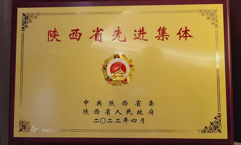 真抓實(shí)干創(chuàng  )佳績(jì) 轉型升級開(kāi)新局——記“陜西省先進(jìn)集體”生態(tài)水泥公司的發(fā)展奮進(jìn)路