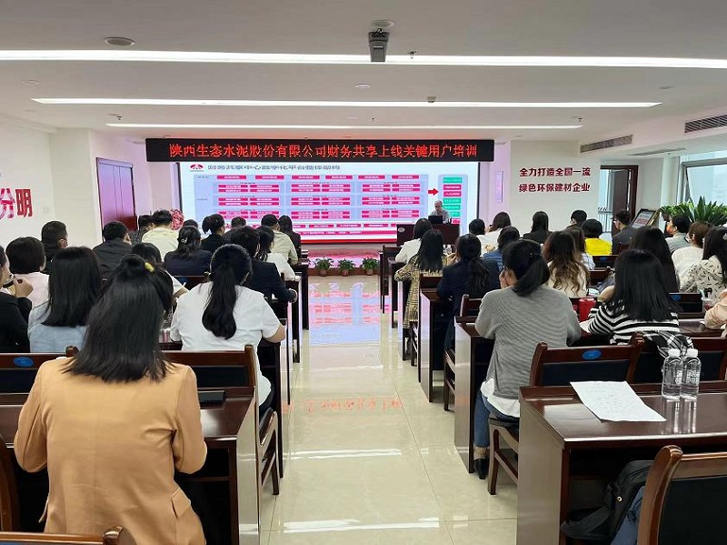 信息化助力企業(yè)財務(wù)管理與轉型再升級