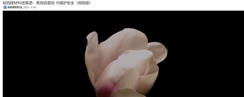 奮進(jìn)陜煤、陜煤集團抖音、陜煤集團微信公眾號 | 陜西建材科技集團：柔肩挑重擔 巾幗護安全（微視頻）
