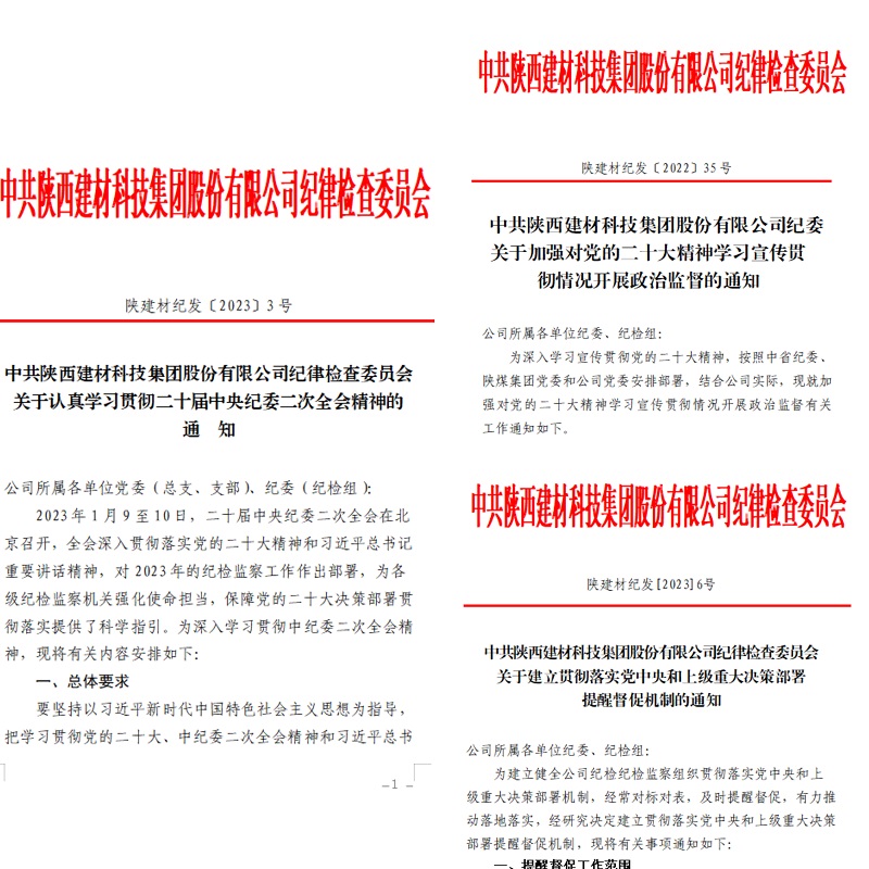 陜西建材科技公司：開(kāi)年“第一學(xué)”助力紀檢監察工作開(kāi)新局起新步
