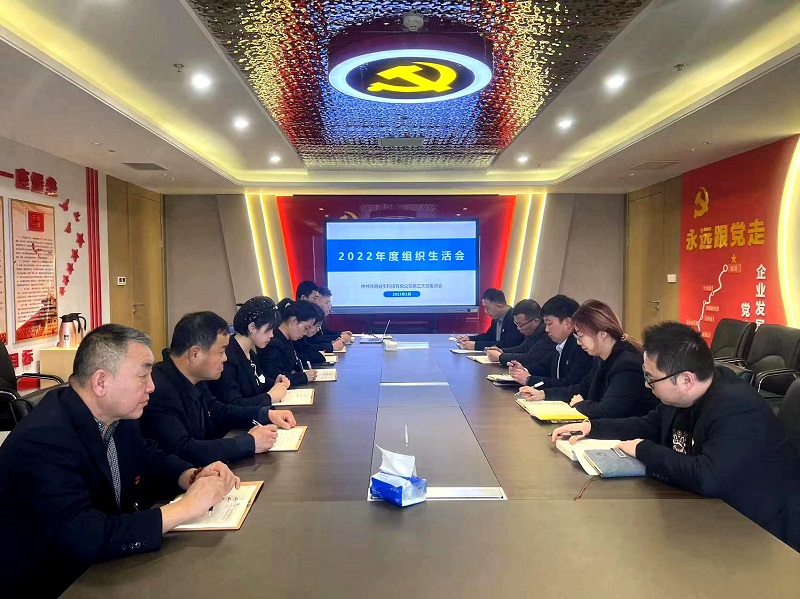 深刻剖析強黨性  明確方向聚合力——智引公司各黨支部召開(kāi)2022年度組織生活會(huì )及民主