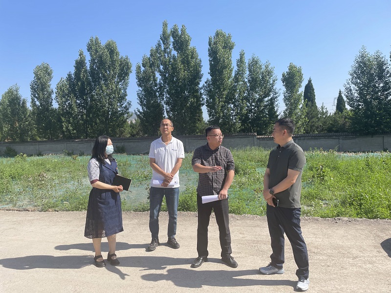 韓城市政府督察專(zhuān)員王根深一行到龍門(mén)綠碳公司督查項目建設情況