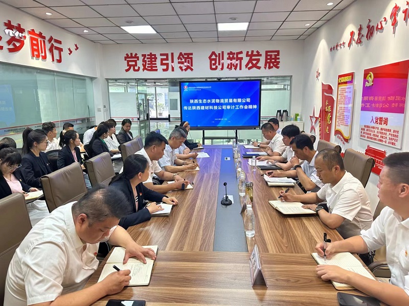 物貿公司傳達學(xué)習陜煤集團2023年審計工作會(huì )精神