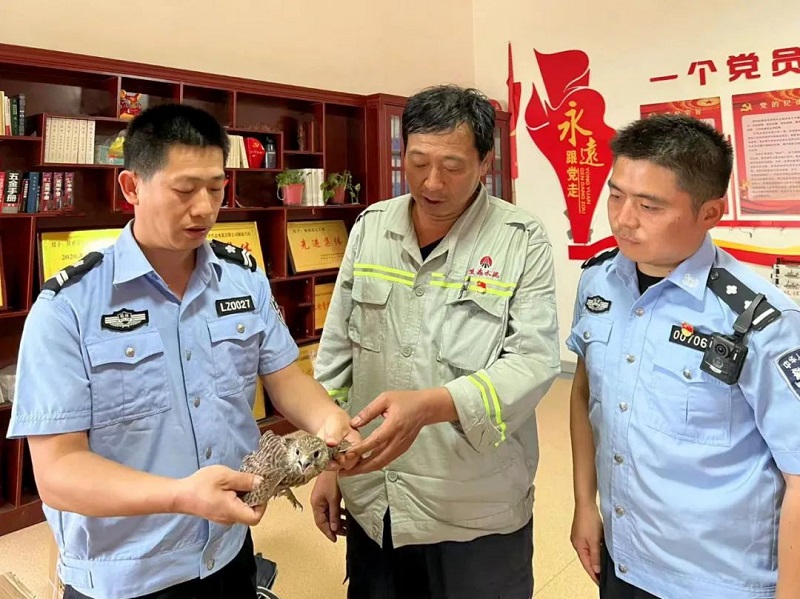 暖心！富平公司與薛鎮派出所攜手成功救助國家二級保護動(dòng)物