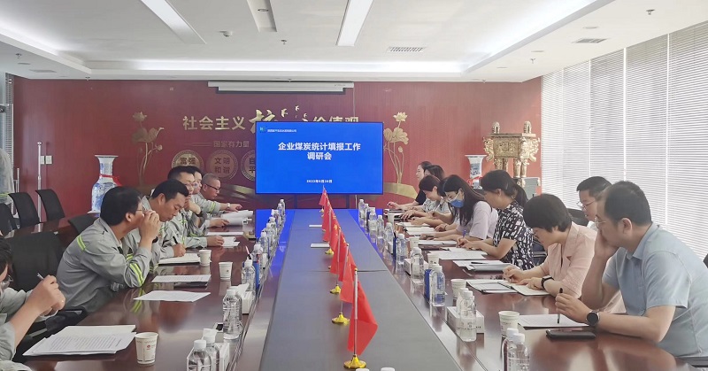 國家統計局能源統計司一行到富平公司調研指導工作