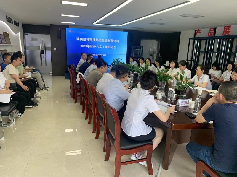 共享升級  合力并進(jìn)——陜西建材科技公司召開(kāi)財務(wù)共享工作推進(jìn)會(huì )
