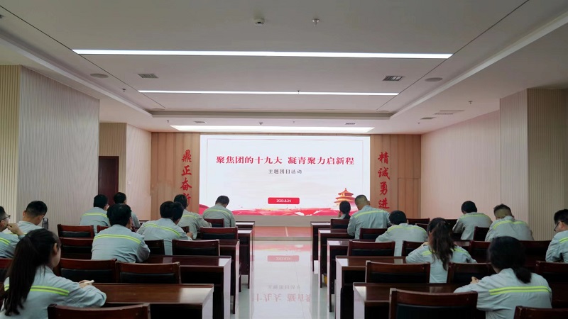 富平公司團委組織開(kāi)展“聚焦團的十九大 凝青聚力啟新程”主題團日活動(dòng)