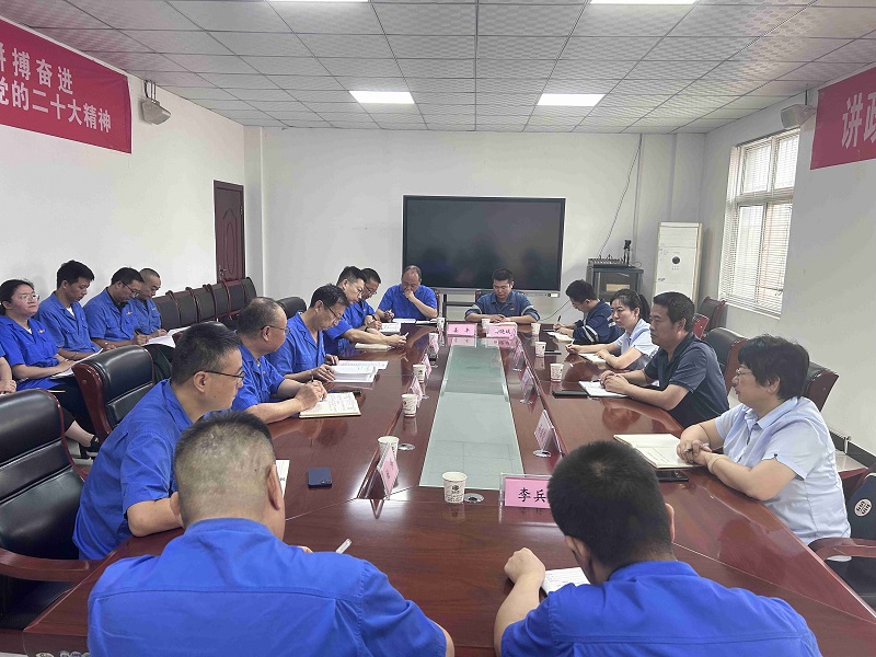 陜西建材科技公司黨委副書(shū)記、總經(jīng)理周紅一行到賽柯瑞思公司調研指導工作
