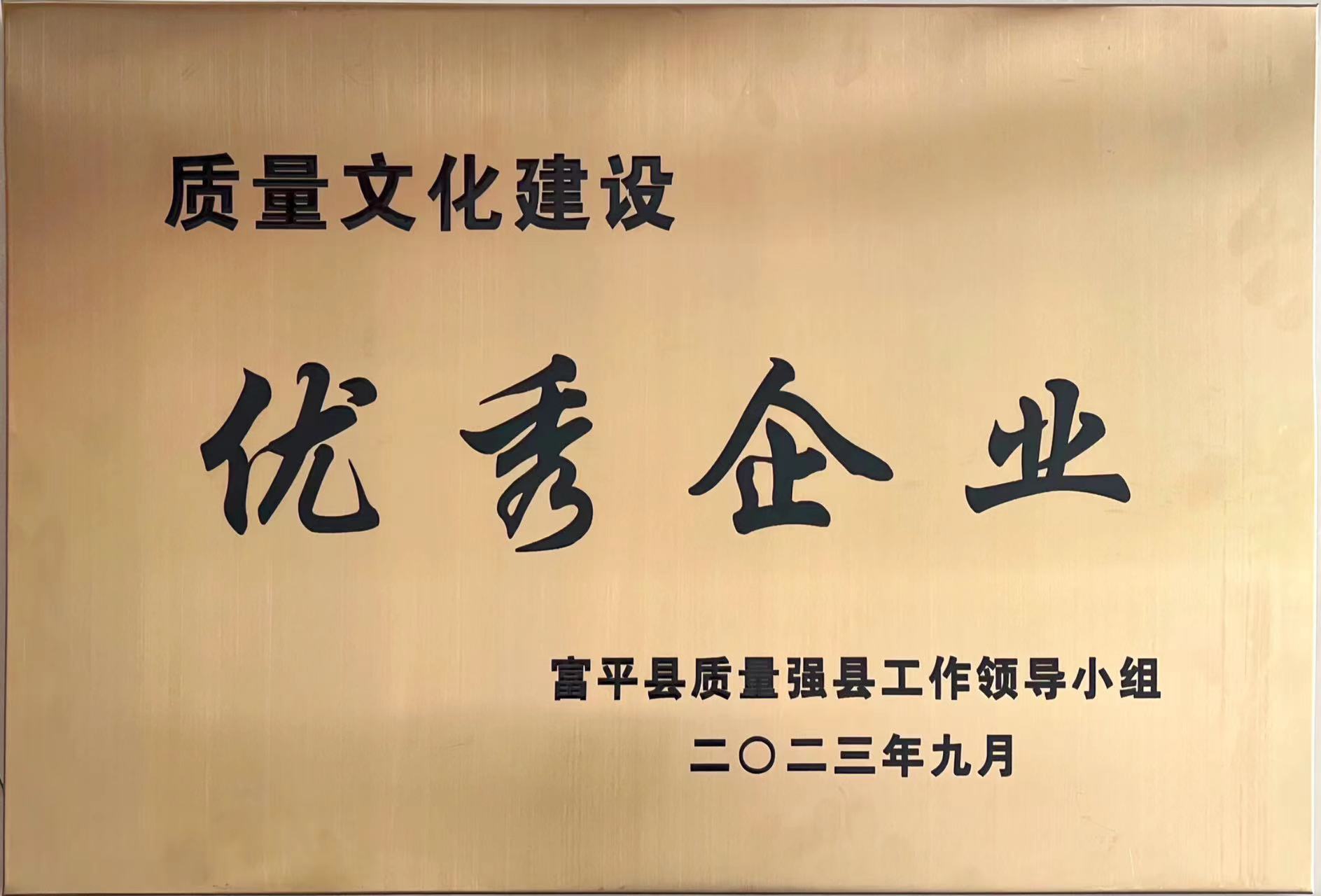 贊！富平公司喜獲富平縣“質(zhì)量文化建設優(yōu)秀企業(yè)”稱(chēng)號