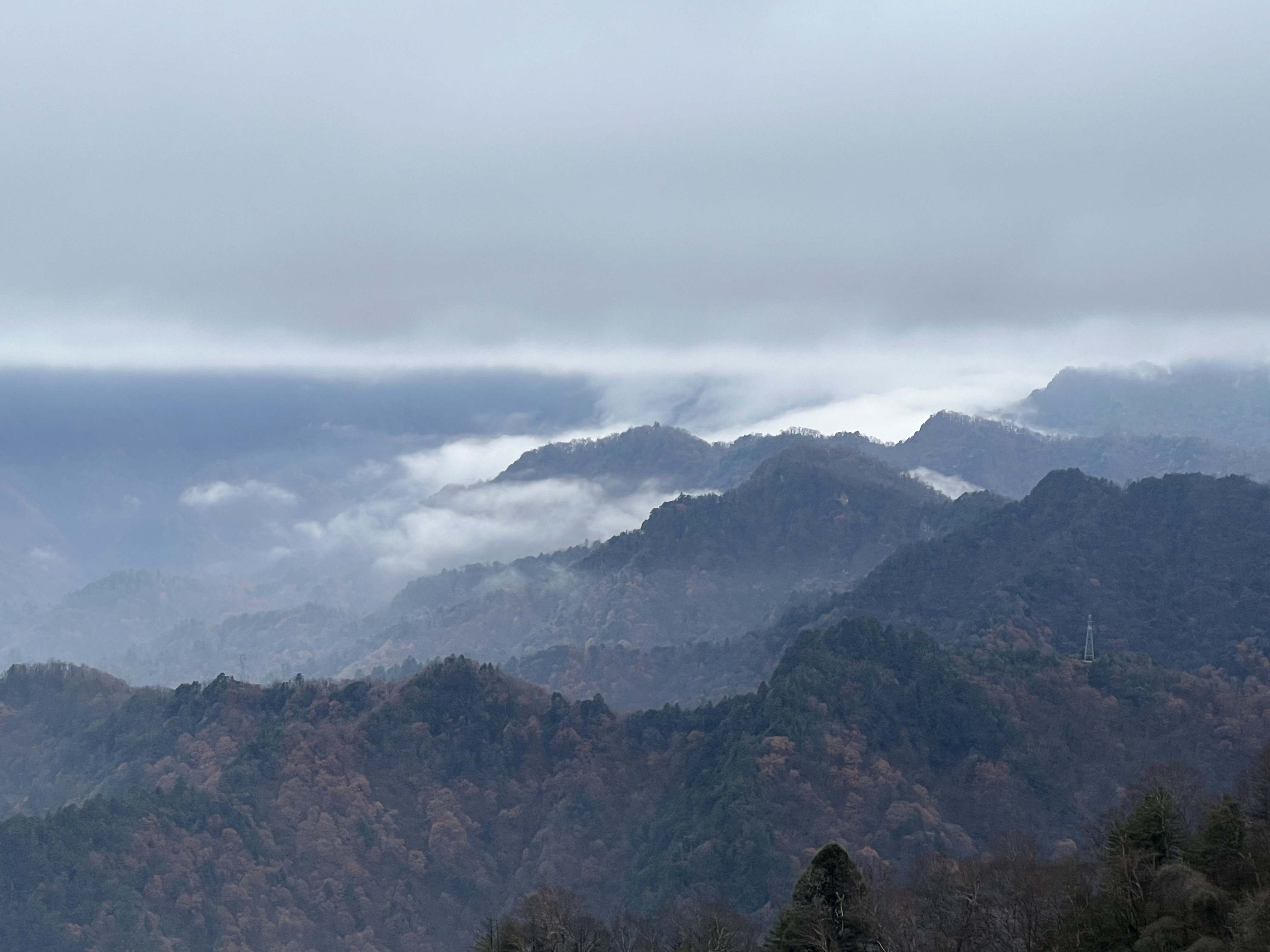 華山營(yíng)銷(xiāo)公司：冬已立，寒信至