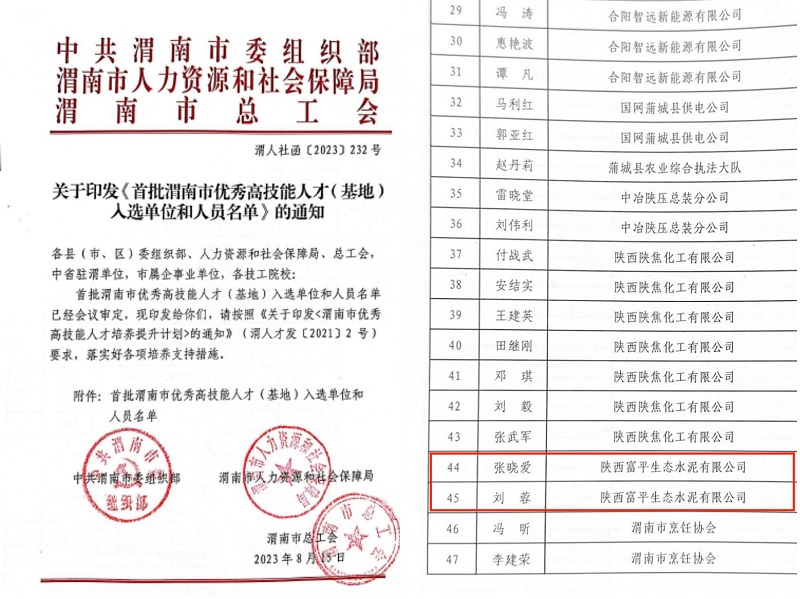 喜報！富平公司2人榮獲首批“渭南市技術(shù)能手”稱(chēng)號