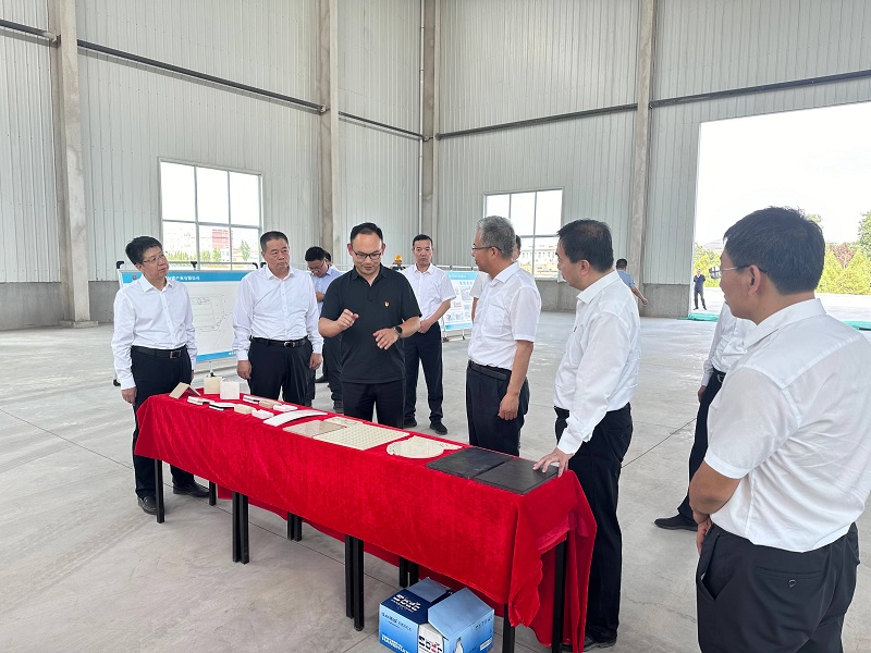 渭南市委副書(shū)記、市長(cháng)陳曉勇一行來(lái)龍門(mén)綠碳公司調研項目建設情況