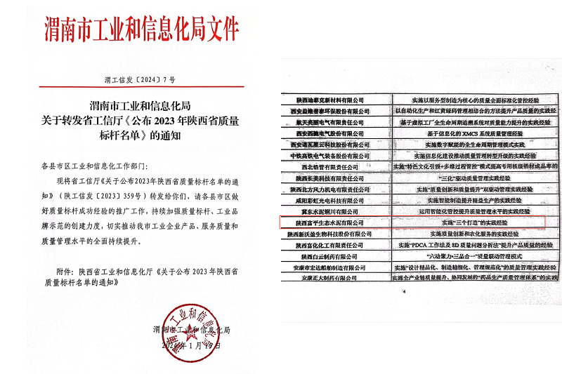 喜報！富平公司榮獲陜西省質(zhì)量標桿榮譽(yù)