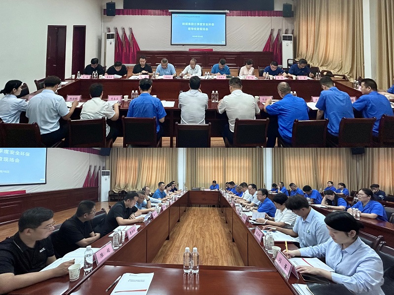杜平到陜西建材科技公司開(kāi)展三季度安全環(huán)保督導檢查