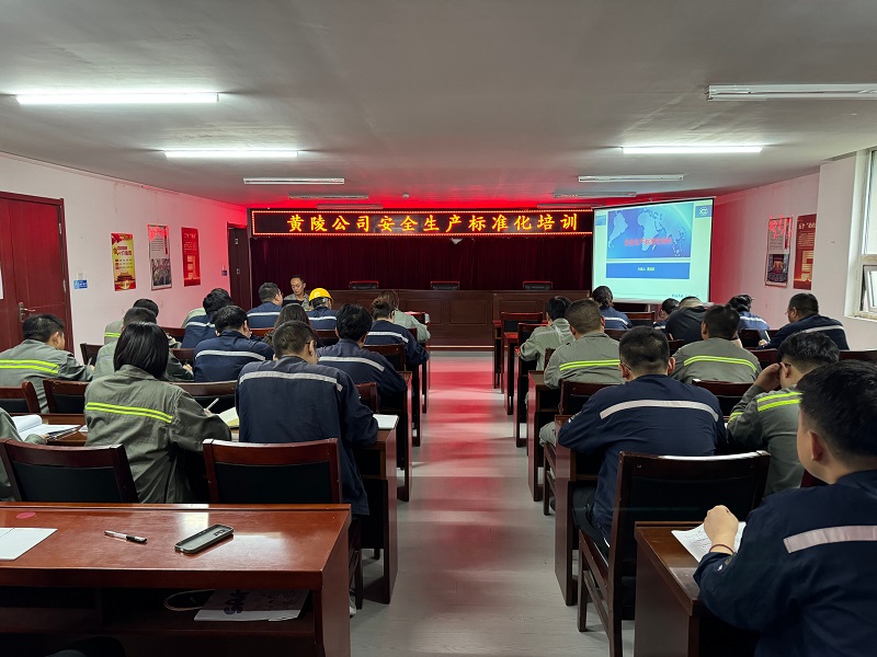 黃陵公司組織開(kāi)展安全生產(chǎn)標準化專(zhuān)題培訓